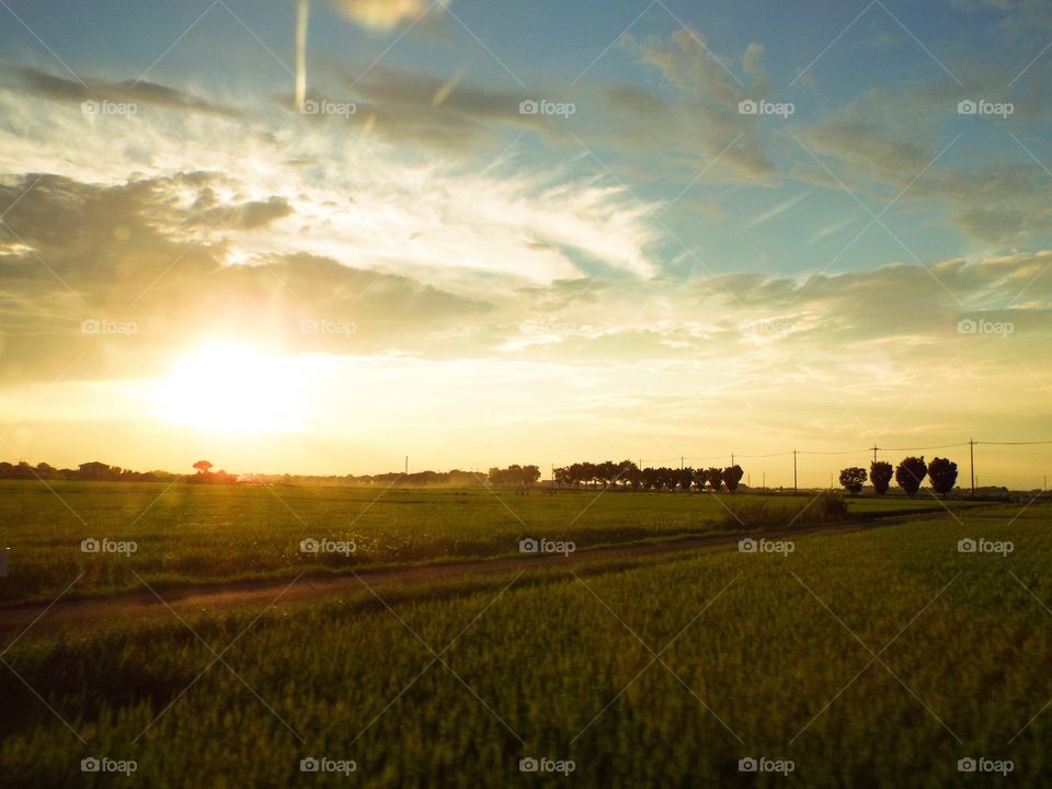 Scenic view of agriculture field during sunset
