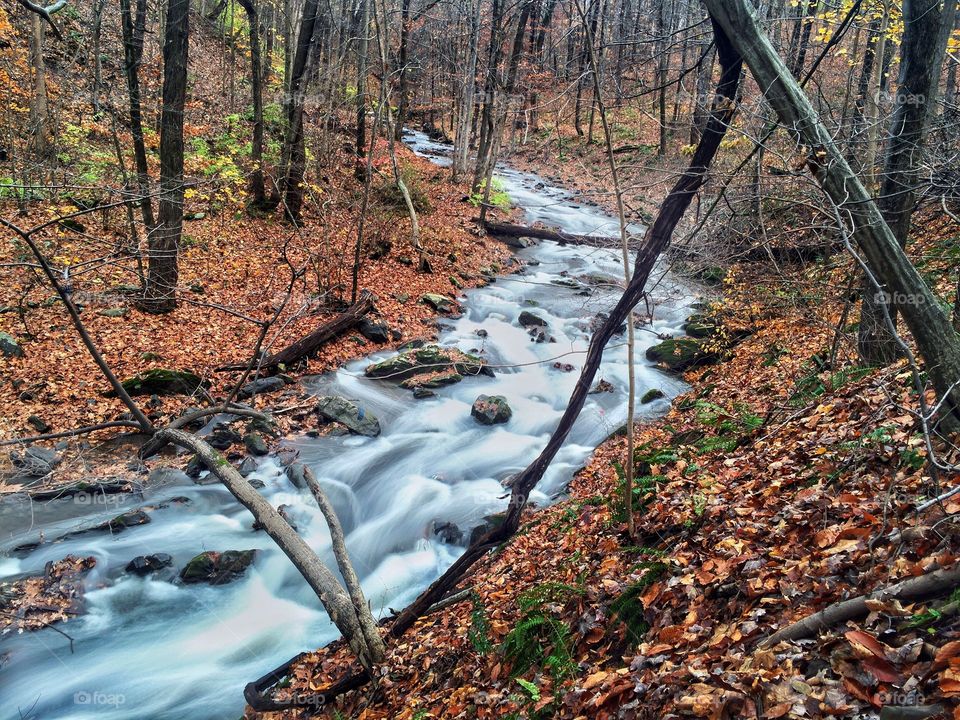 White water rapids after rainfall 