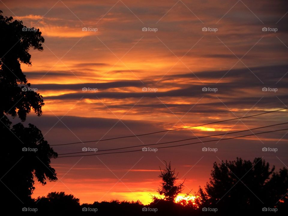 Backyard Sunset