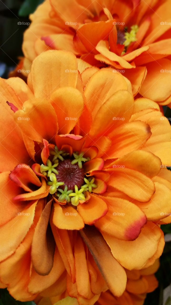 Orange silk flowers
