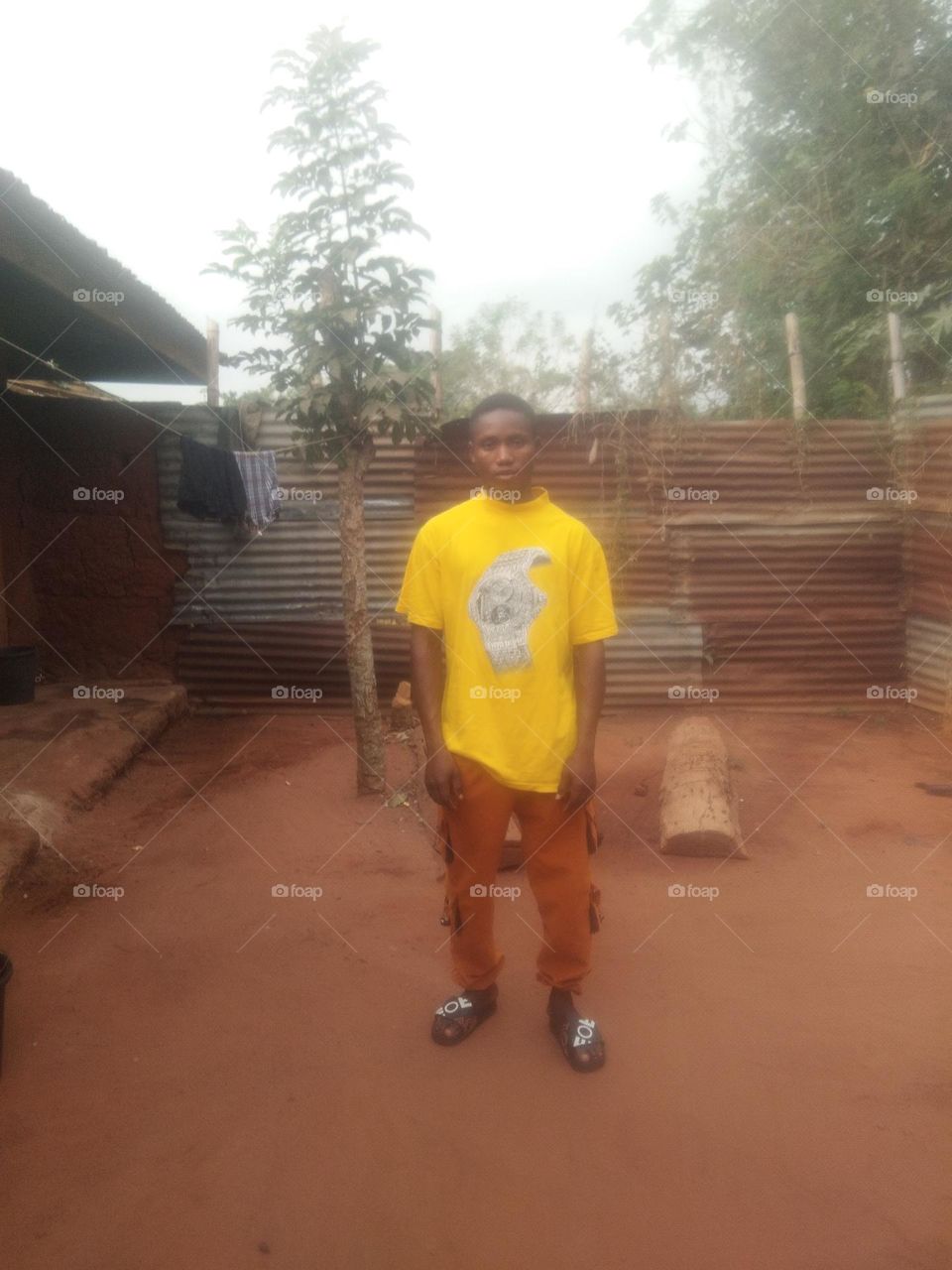 how much do you like this photo