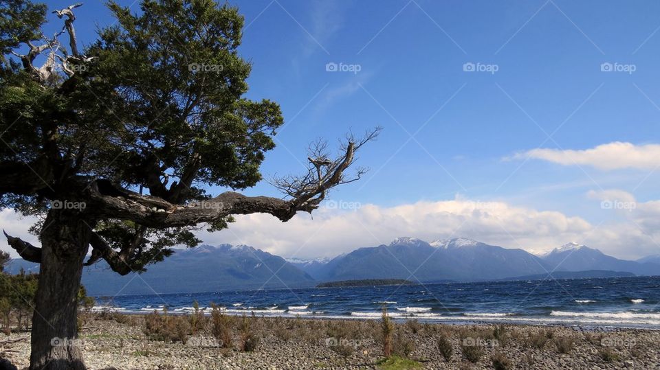 TE aNAU downs