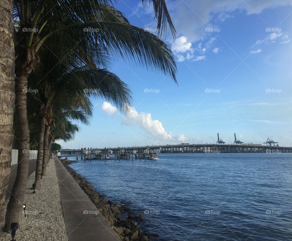 Miami. Miami visit walk