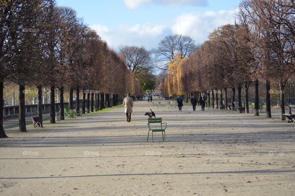 Fall stroll in the park 