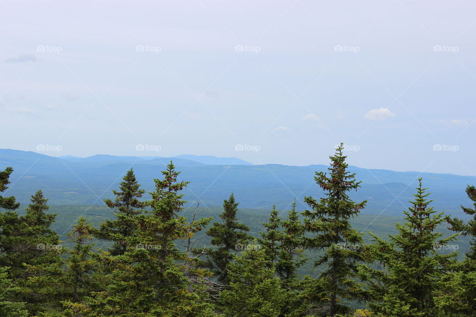 Mountains beyond the tree line in New Hampshire