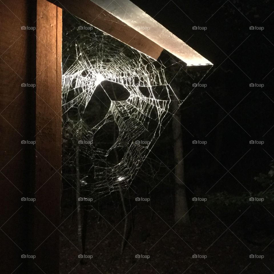 Spider web at cabin in the woods