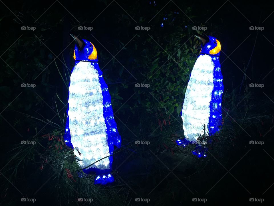 Christmas penguin Xmas lights