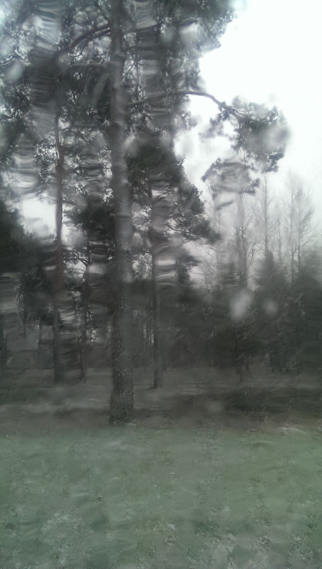 Winter snow