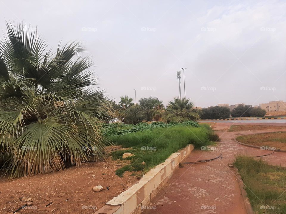 Please help me, I am very poor, I need your support and God is in need