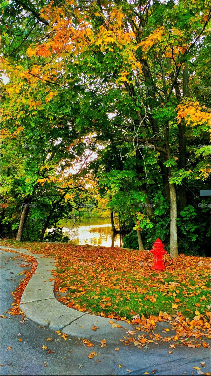 red fire hydrant on the river