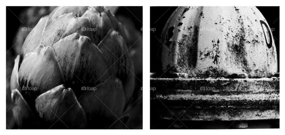 These diptychs are part of a photographic series I did that compares the man made to the nature made through similarity of shapes and textures.