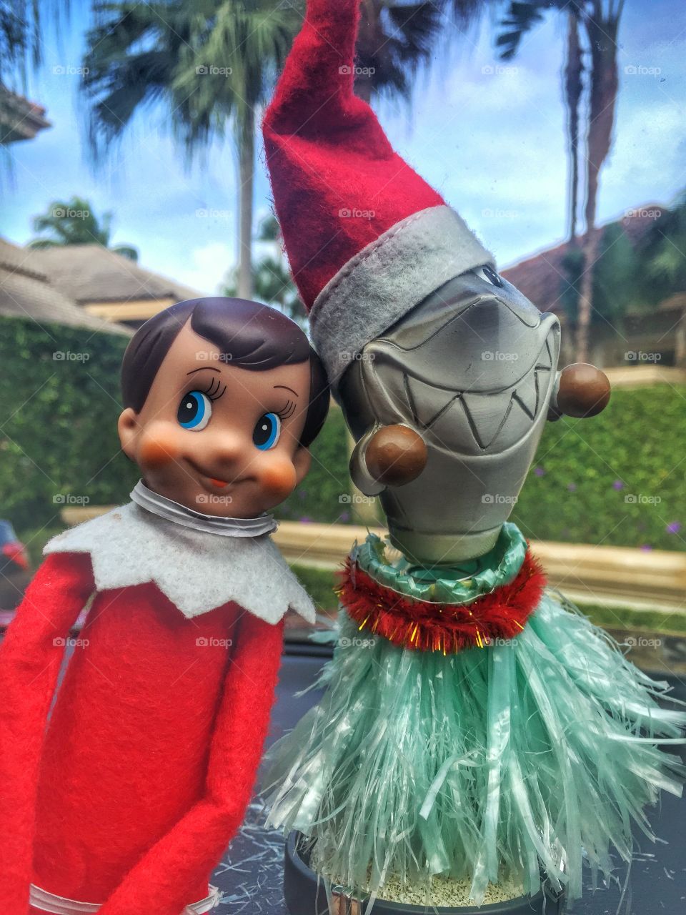 Tropical elf on shelf 