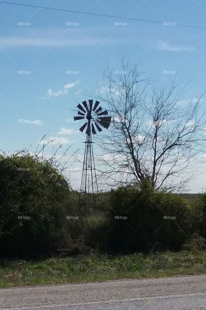 windmill