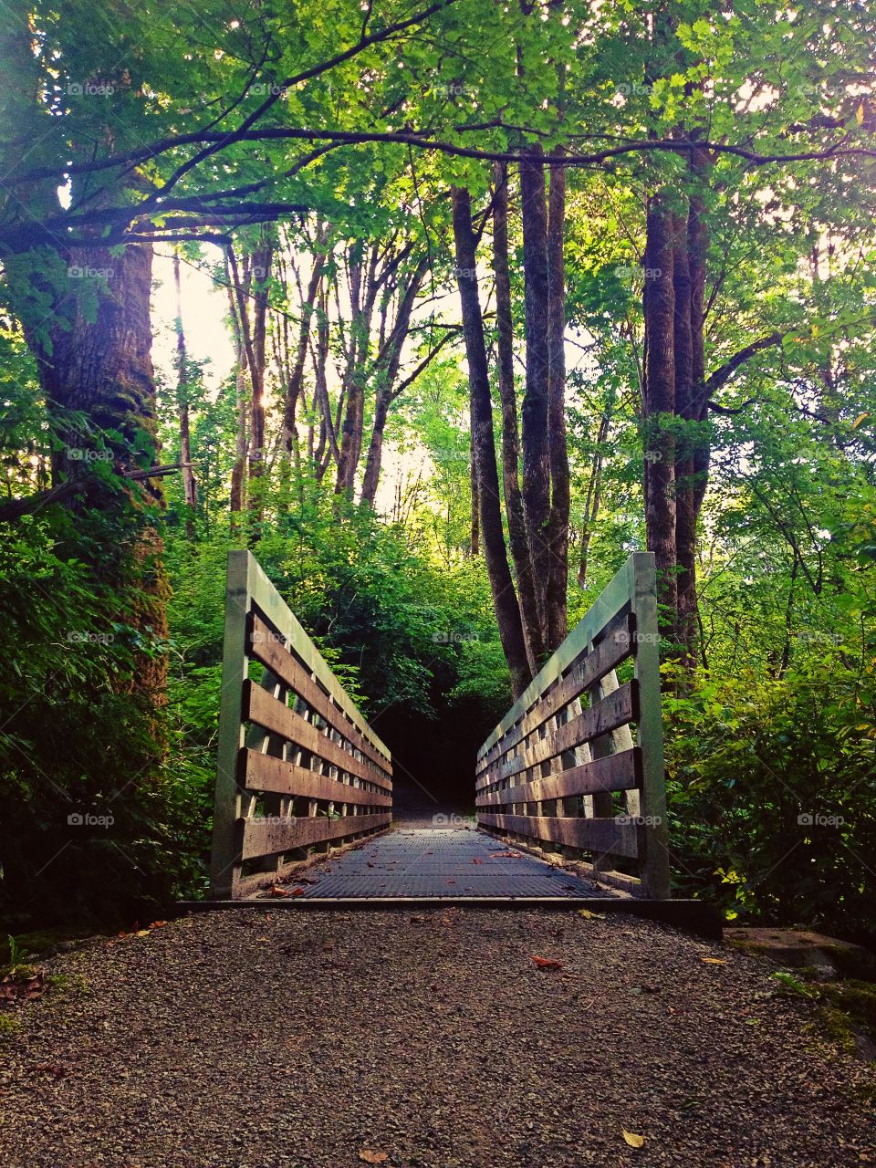 "In three words I can sum up everything I know about life: it goes on."