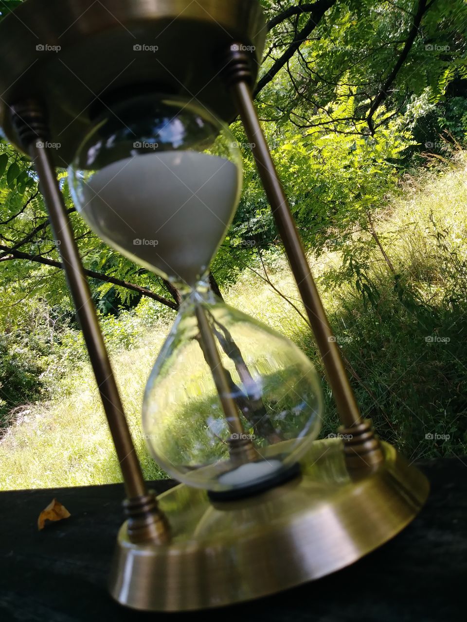A golden hourglass set in nature.