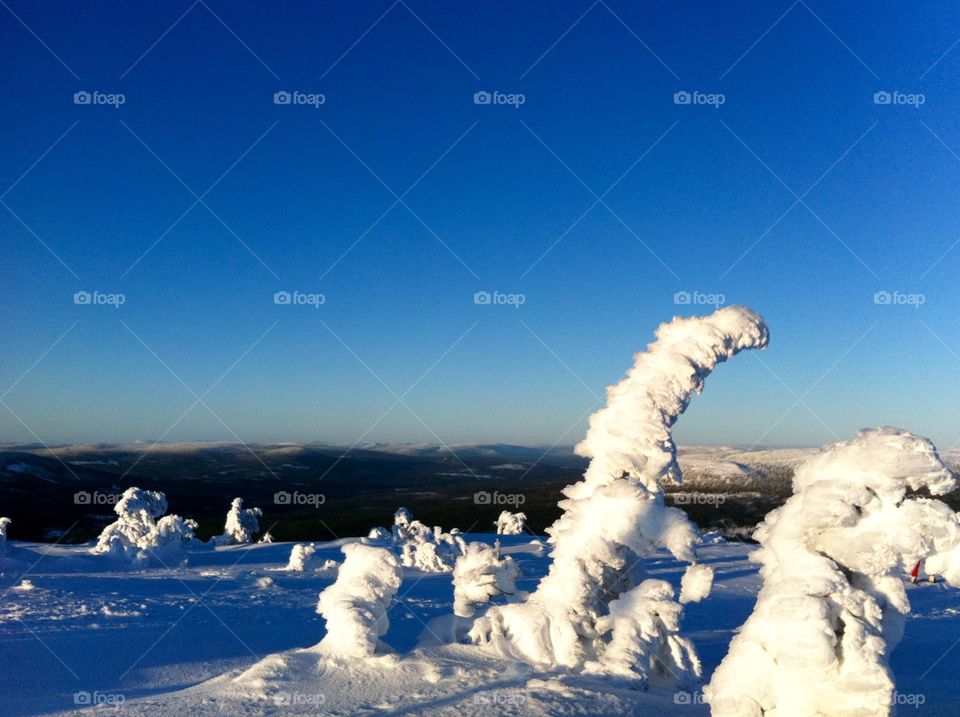 Snow statue