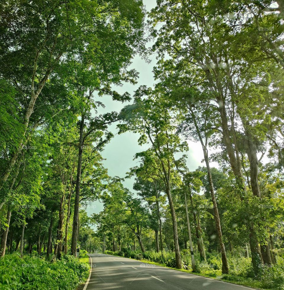 on the way - wayanad