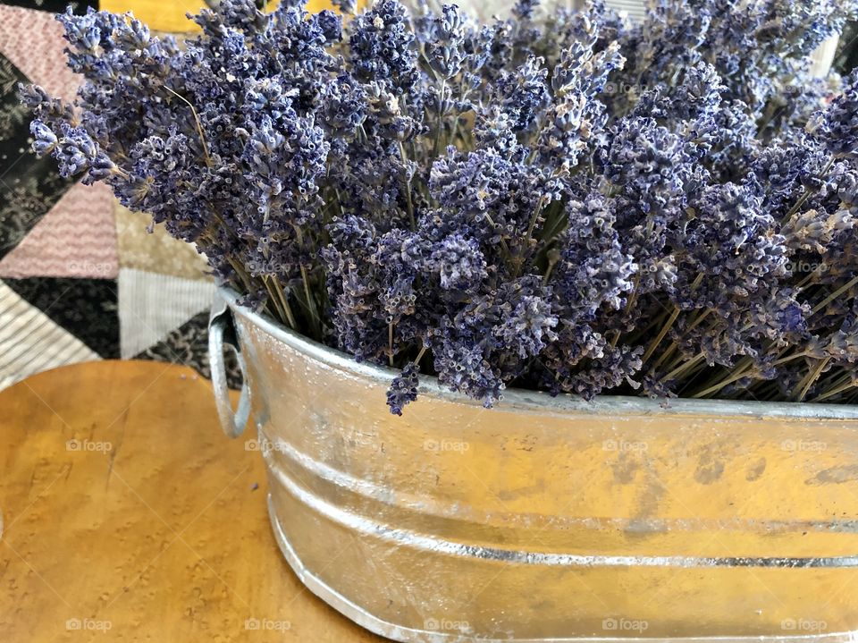 Beautiful dried lavender 