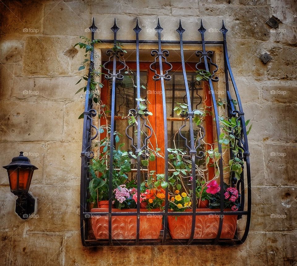 Malta window 