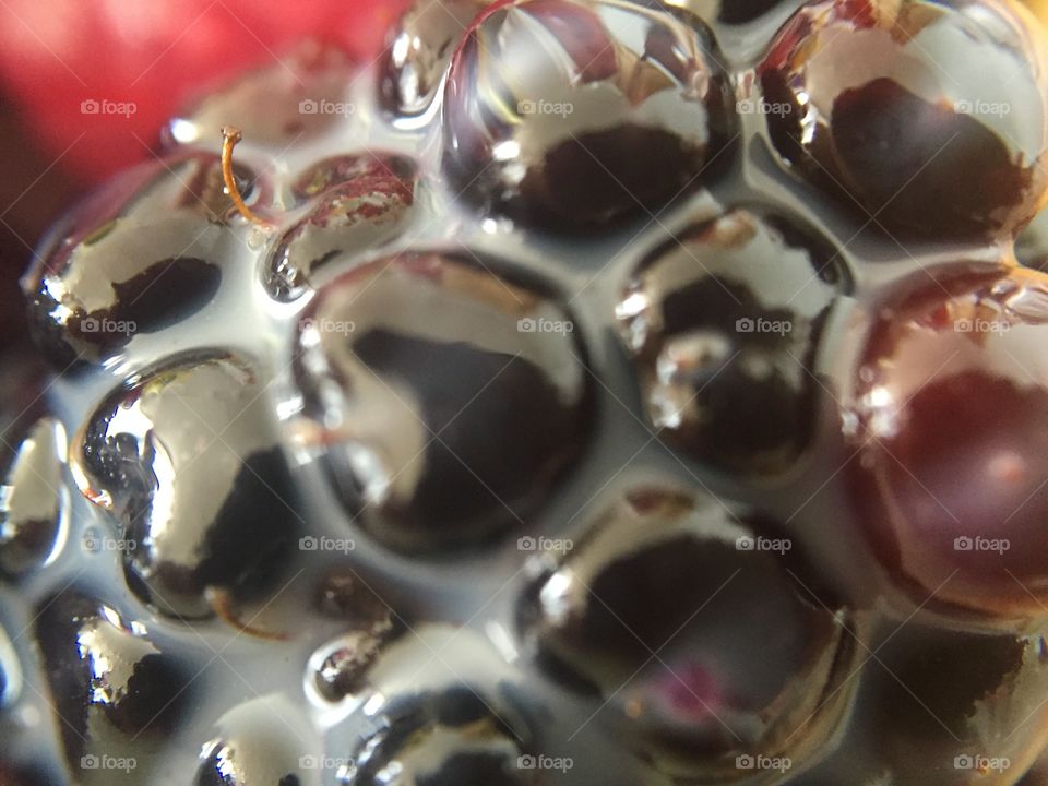 A blackberry macro shot 