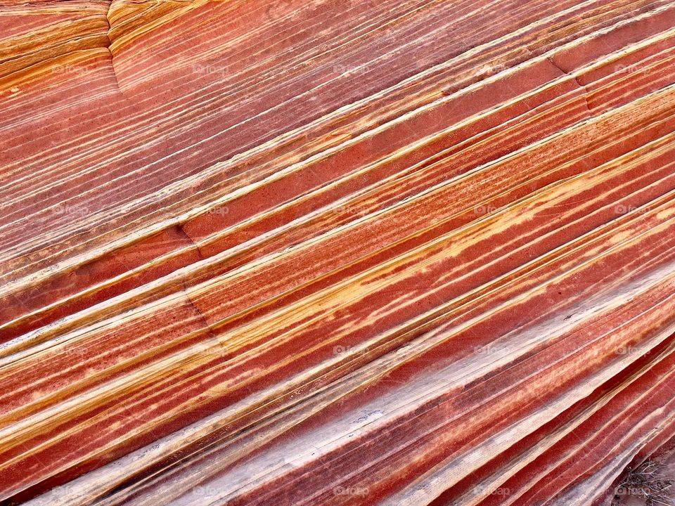 These beautiful lines and layers are part of the sandstone rock formation known as the Wave in northern Arizona 