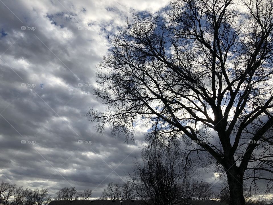 To we and cloud dusted sky