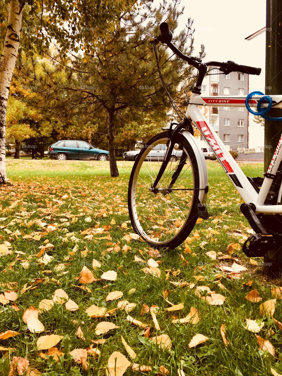 City bike. Autumn