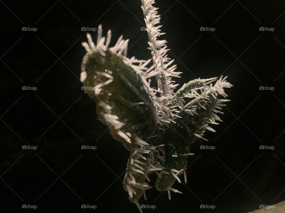 Winded frost