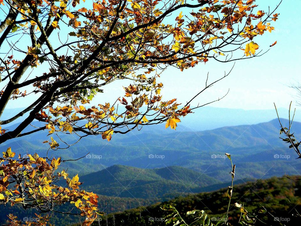 North Carolina mountains. Moses Cone House