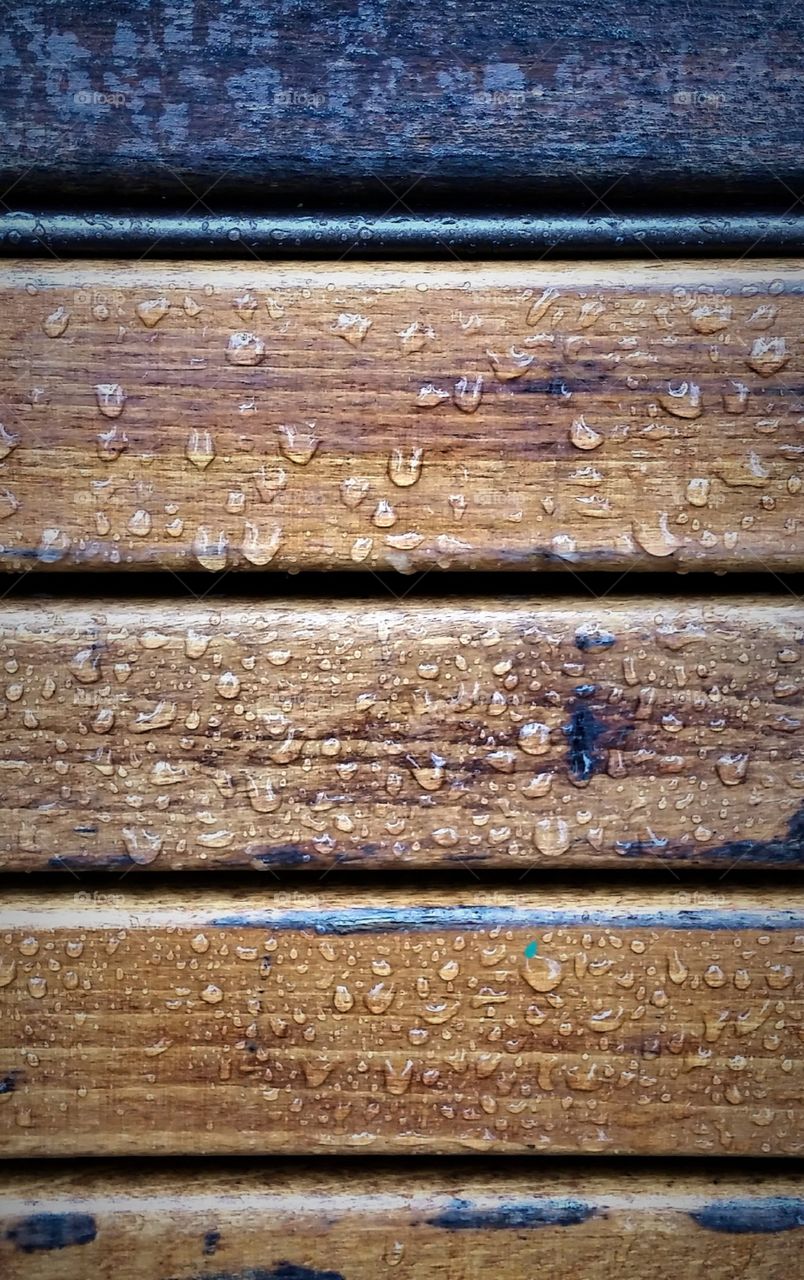 Water drops on a wooden bench