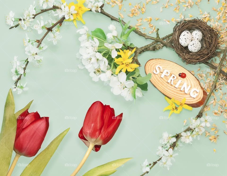 Spring blooms themed flat lay on pale green background 