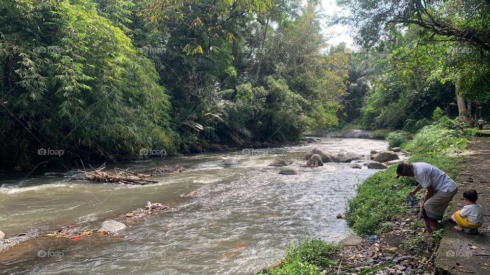 Water view with green forest