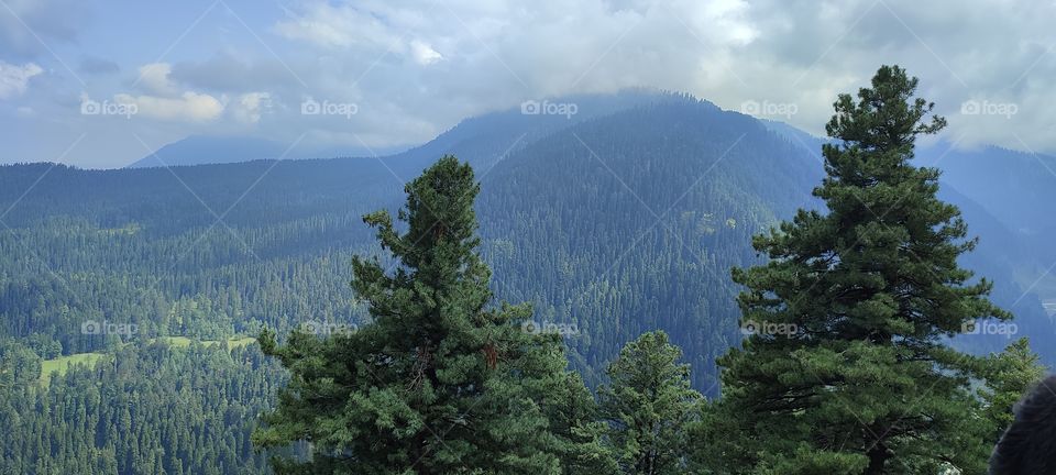 view from above up cool and fresh Air amazing Greenery forest clean and fresh Air amazing photography
📸 Muneeb bhat