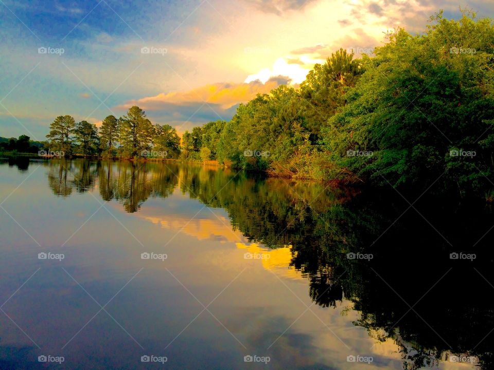 Trees reflecting on lake during sunset