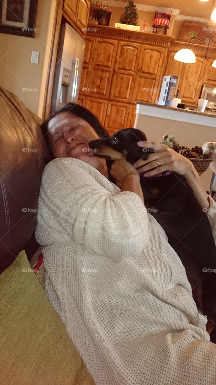 dachshund weenie dog black penny female kisses grandma