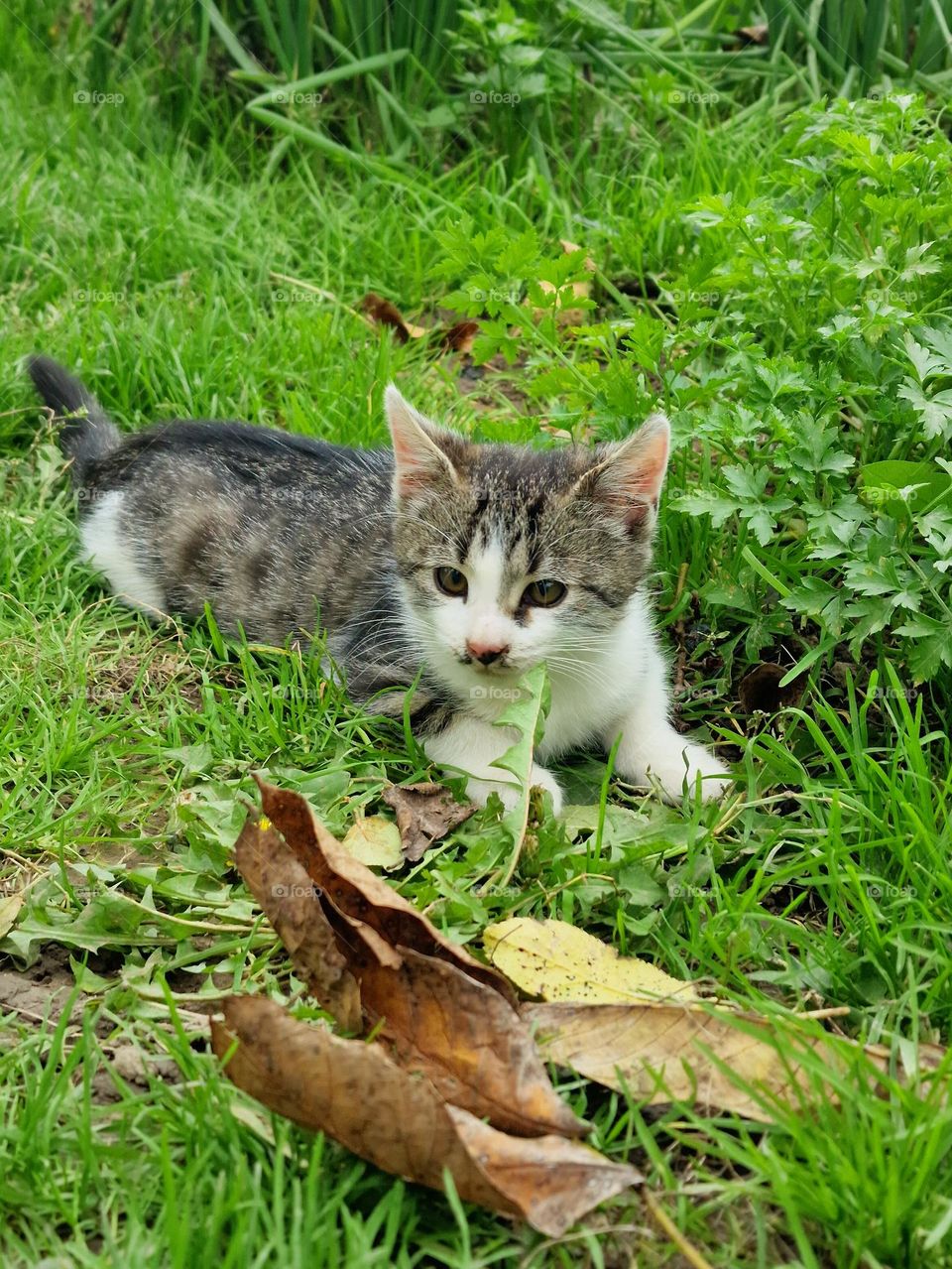 Tatiana in nature