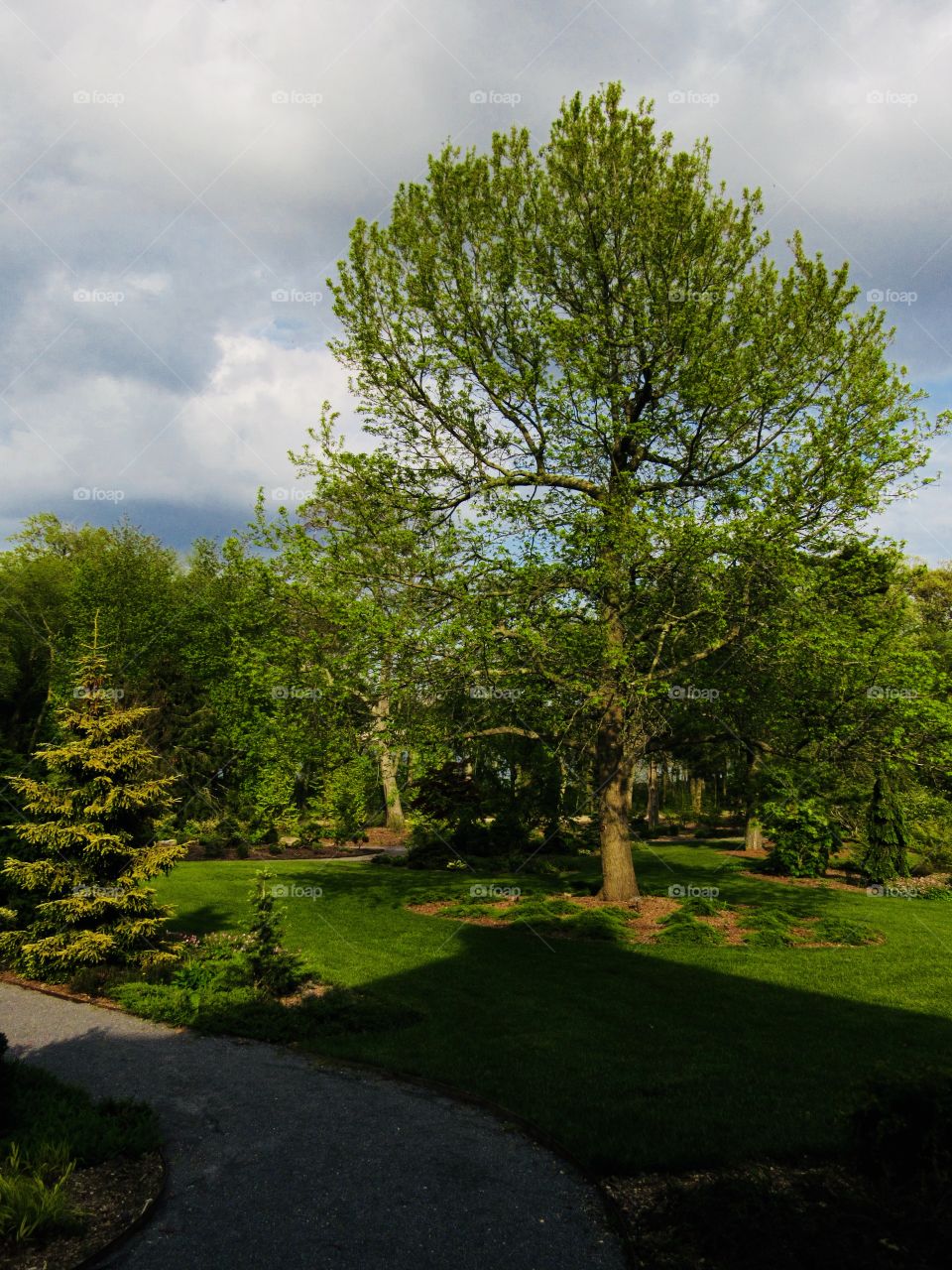 New York, Long Island, Nature, tree, plants, outdoors, calm, relax, shades, colors, Clouds, sky, path, view, architecture, 