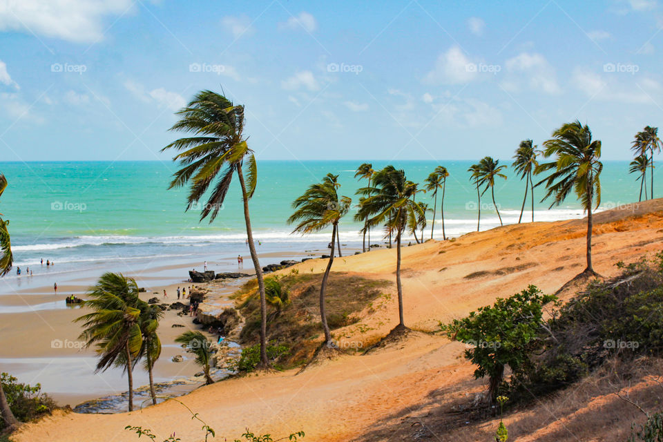 Beautiful landscape of Lagoinha Beach in Ceara, northeastern Brazil, sunny day, summer.