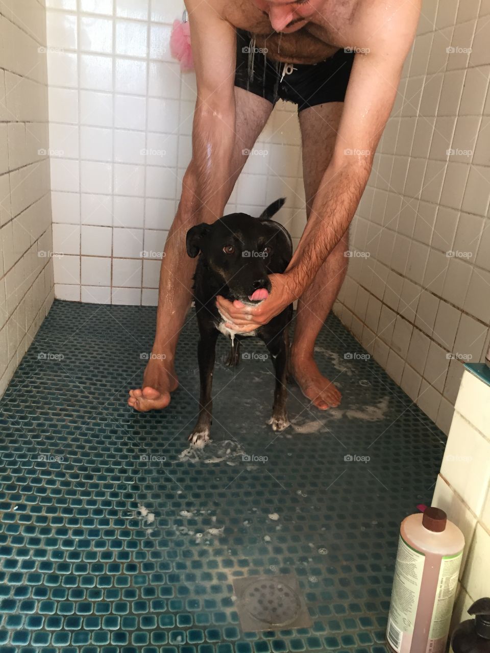 People, One, Dog, Bathtub, Woman