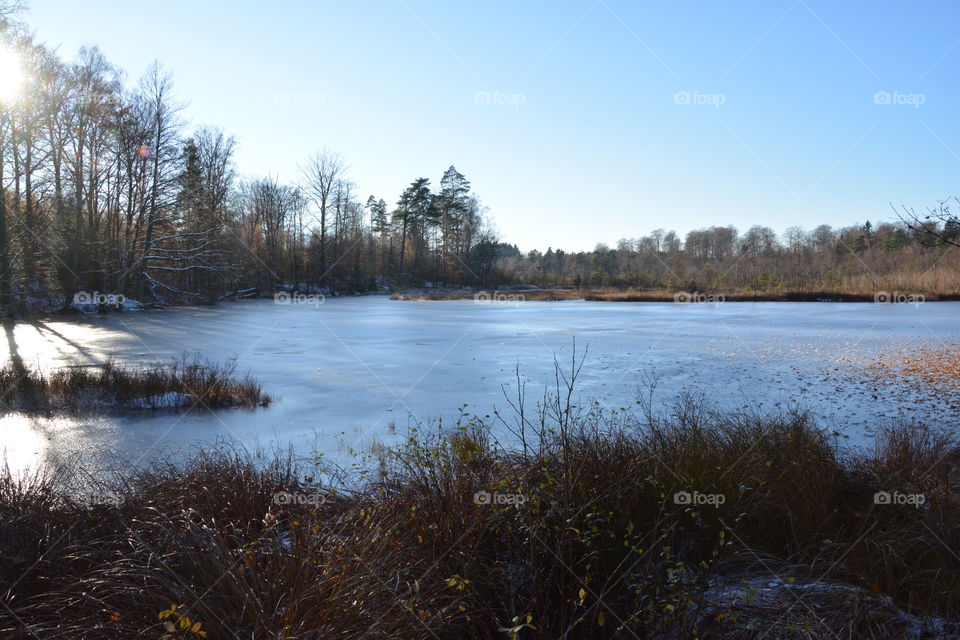 Winter in Skåne, Sweden