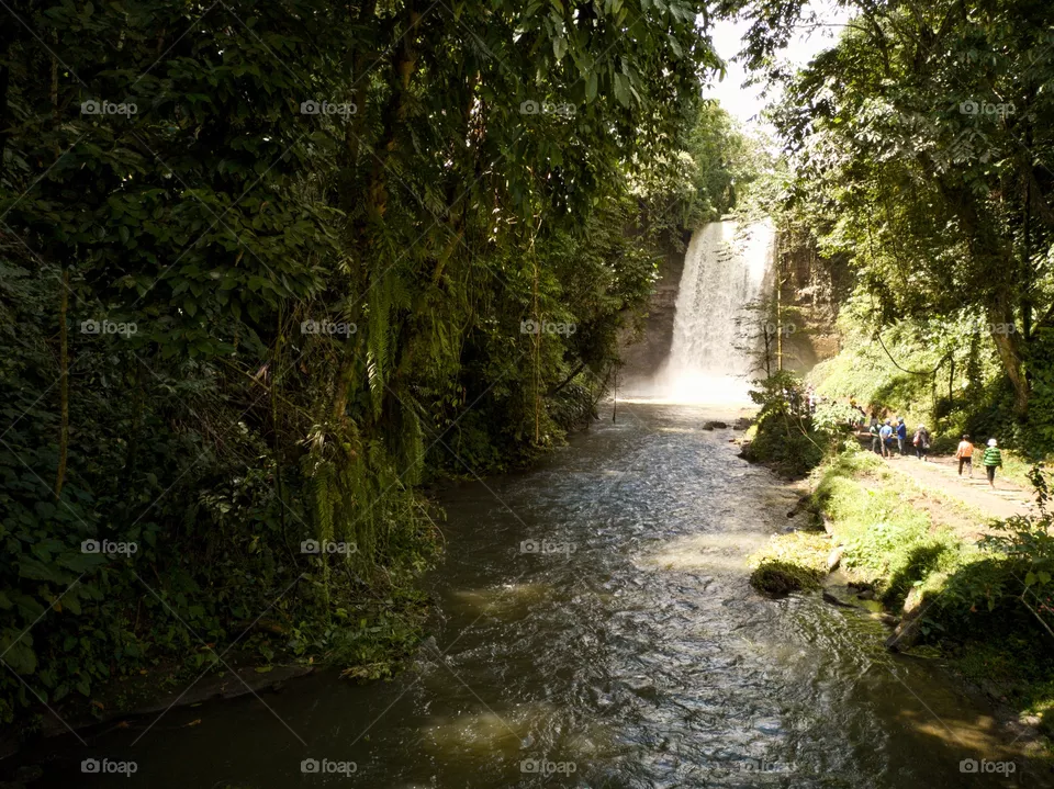 Waterfall