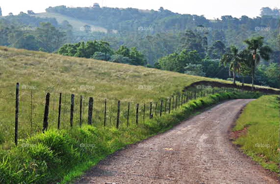 Estrada de terra