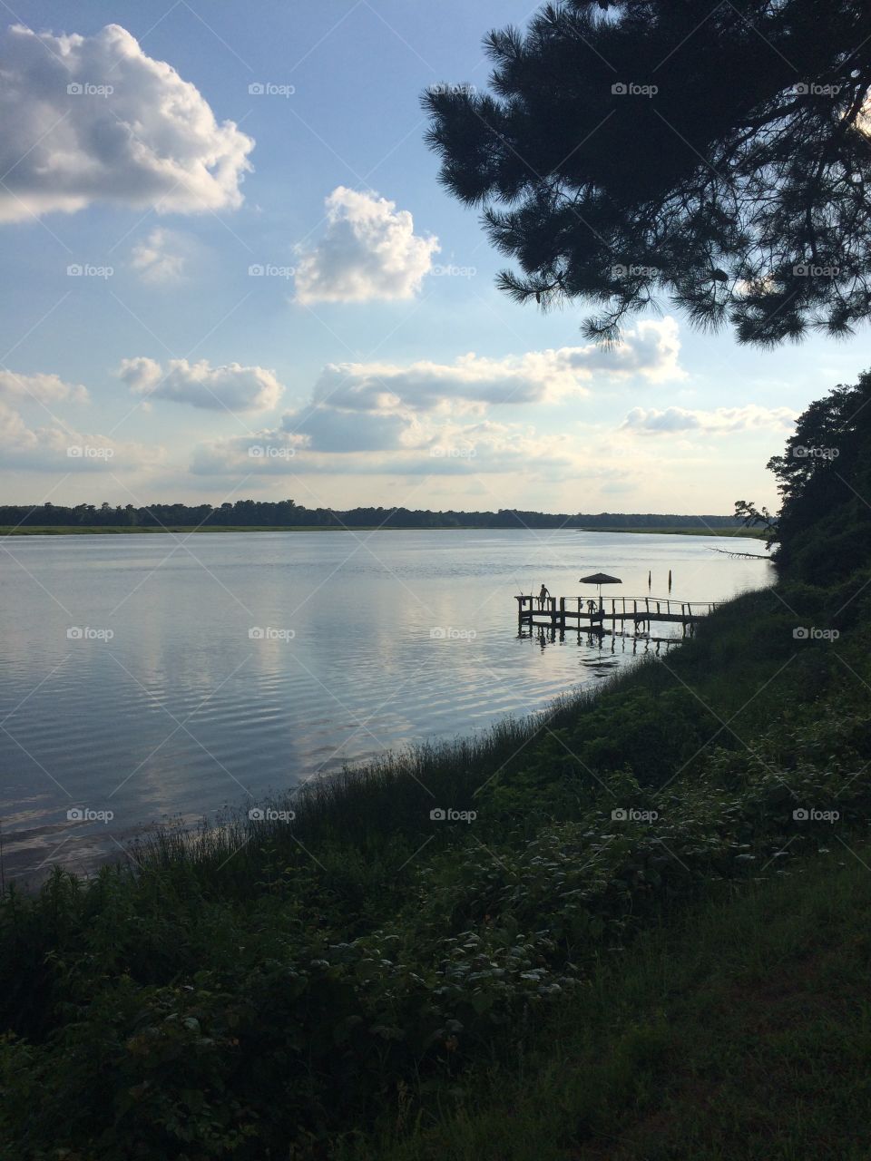 Water, Landscape, Tree, Lake, No Person