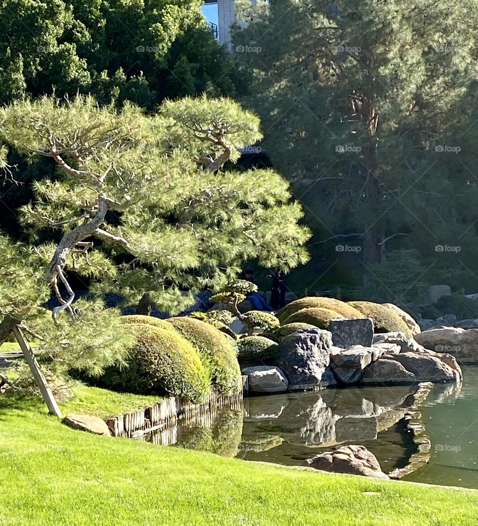 Japanese garden 