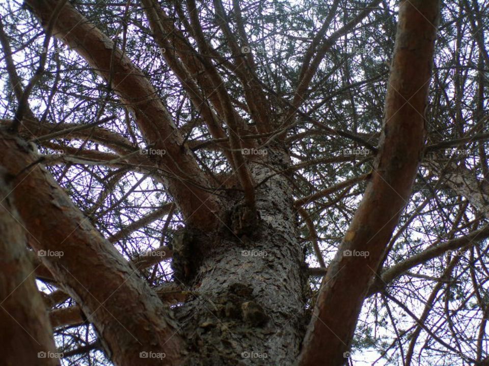 The simple things in life bring the greatest peace