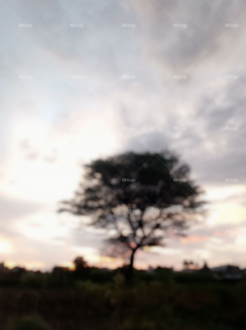 😇I am village boy this photo click in my redmi 6 phone 👍❤ please support me to new village🌿🍃 photos uploading🥰