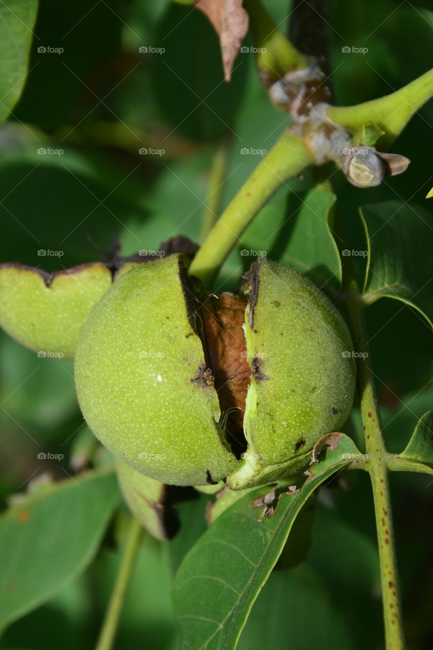 First signs of autumn