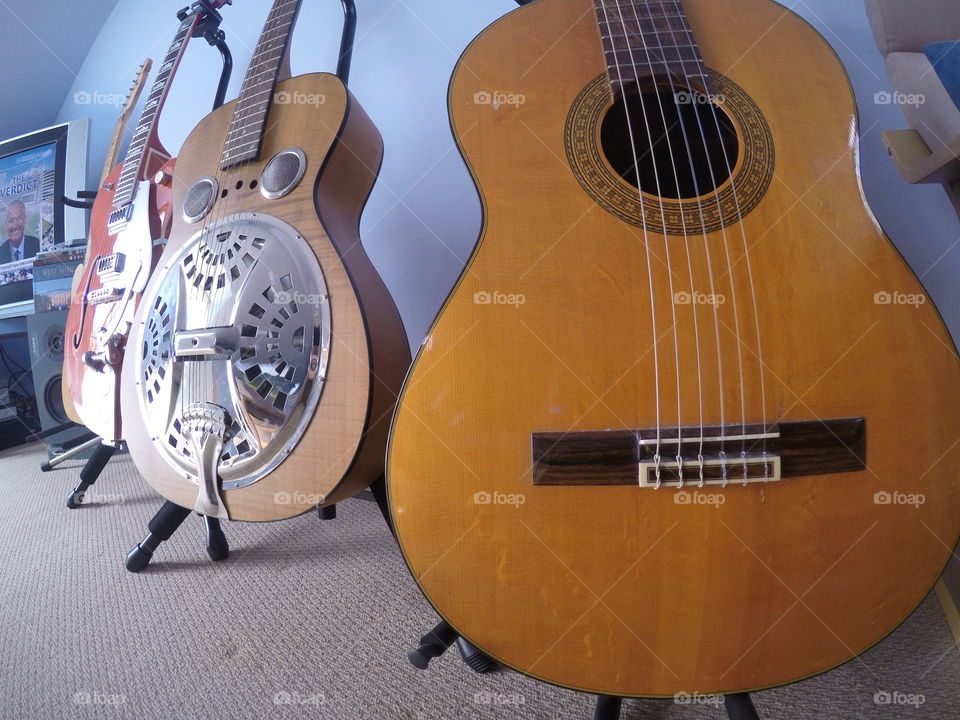 Guitars. Guitars on stands