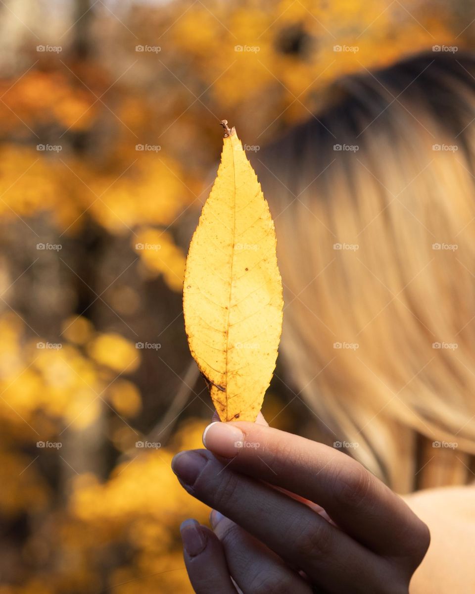 Autumn wouldn’t be the same in black and white; Woman holding yellow leaf with golden trees in the background 