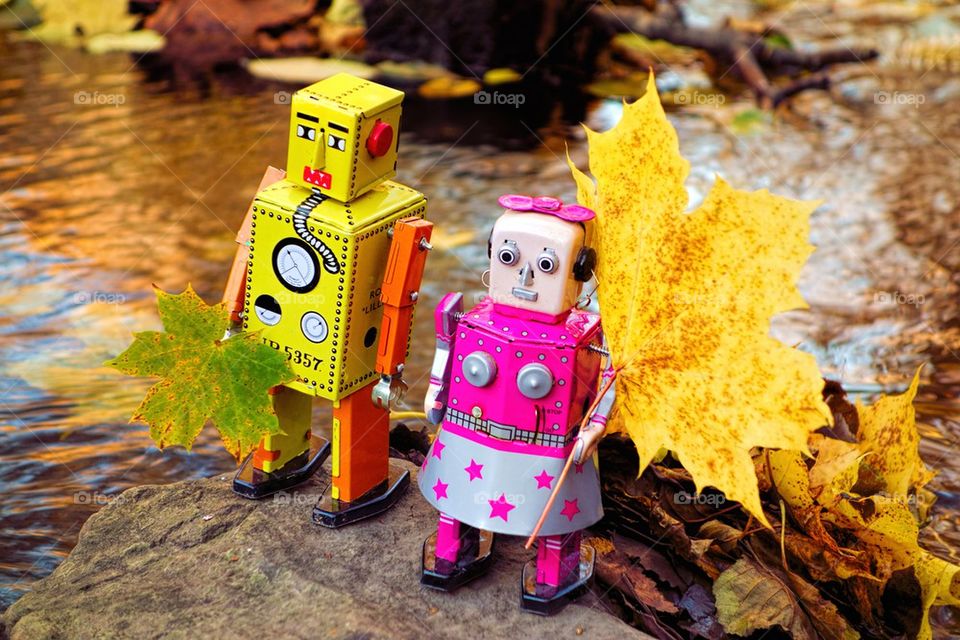 Robots collecting autumn leaves on a rock by the river
